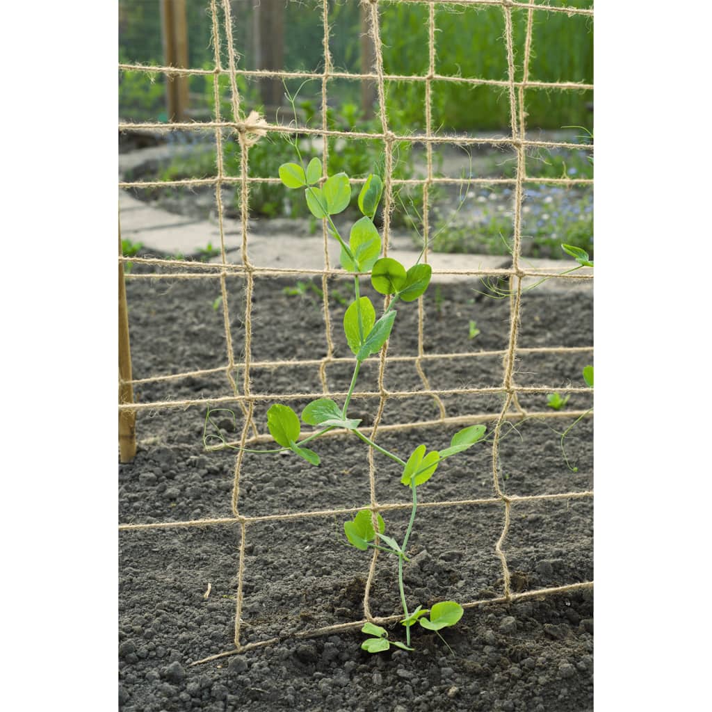 Nature Klimnet Voor Planten Jute Naturel