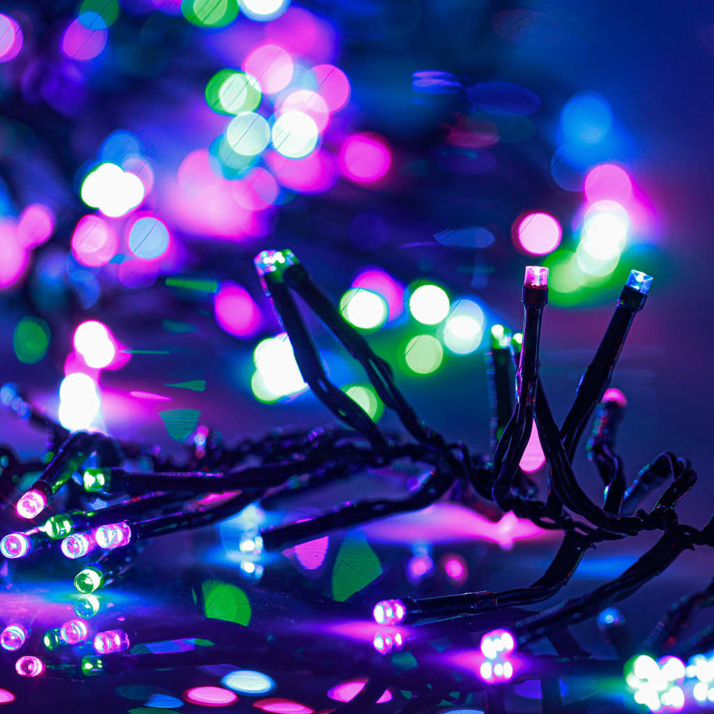 Lichtslinger Cluster Met 3000 Led's Pvc Pastel Meerkleurig En Donkergroen