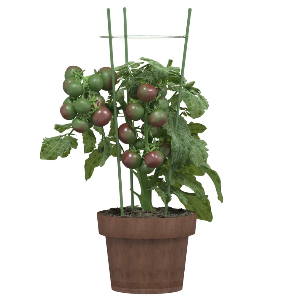 Plantensteunen Met 3 Ringen 4 Cm Staal Groen