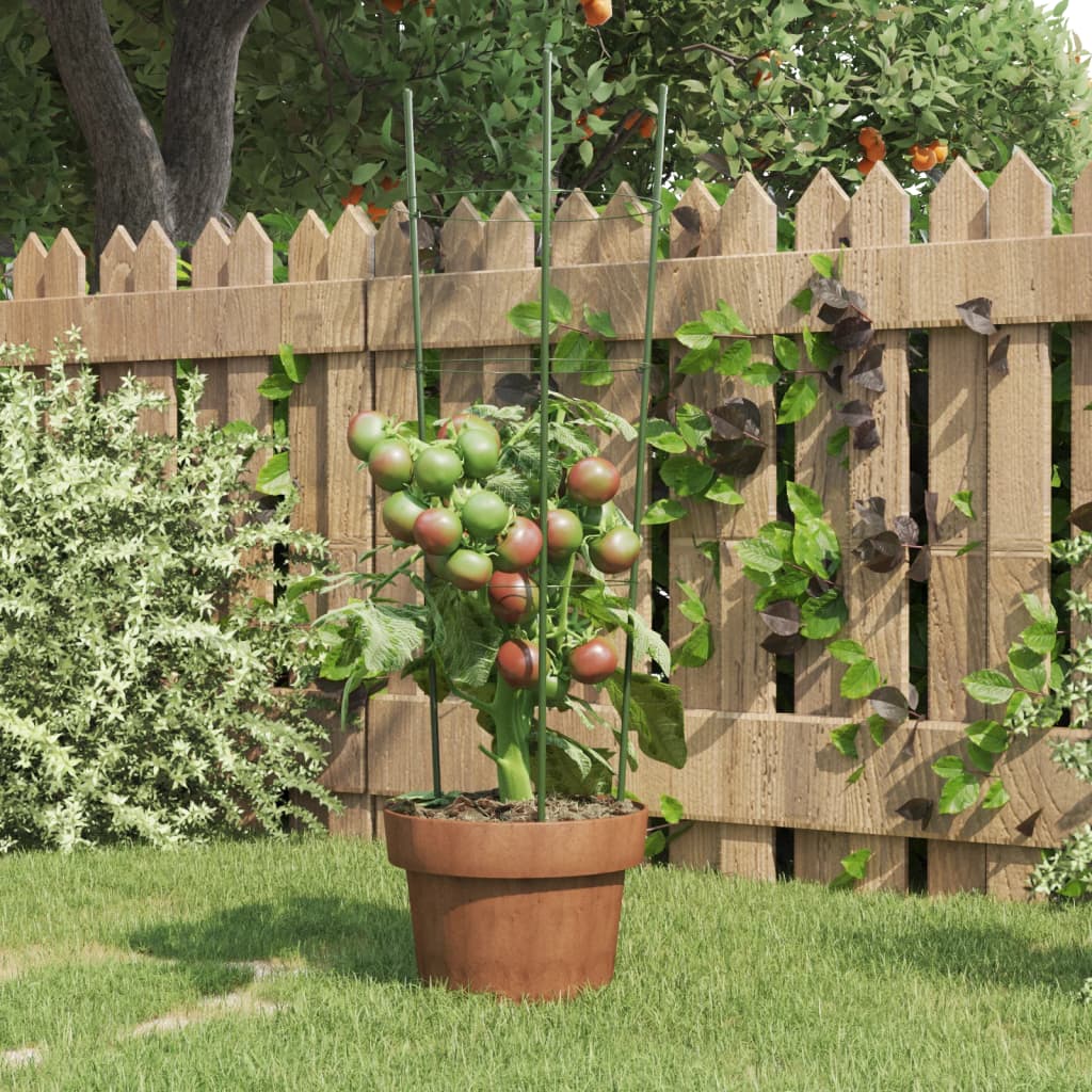 Plantensteunen Met 3 Ringen 4 Cm Staal Groen