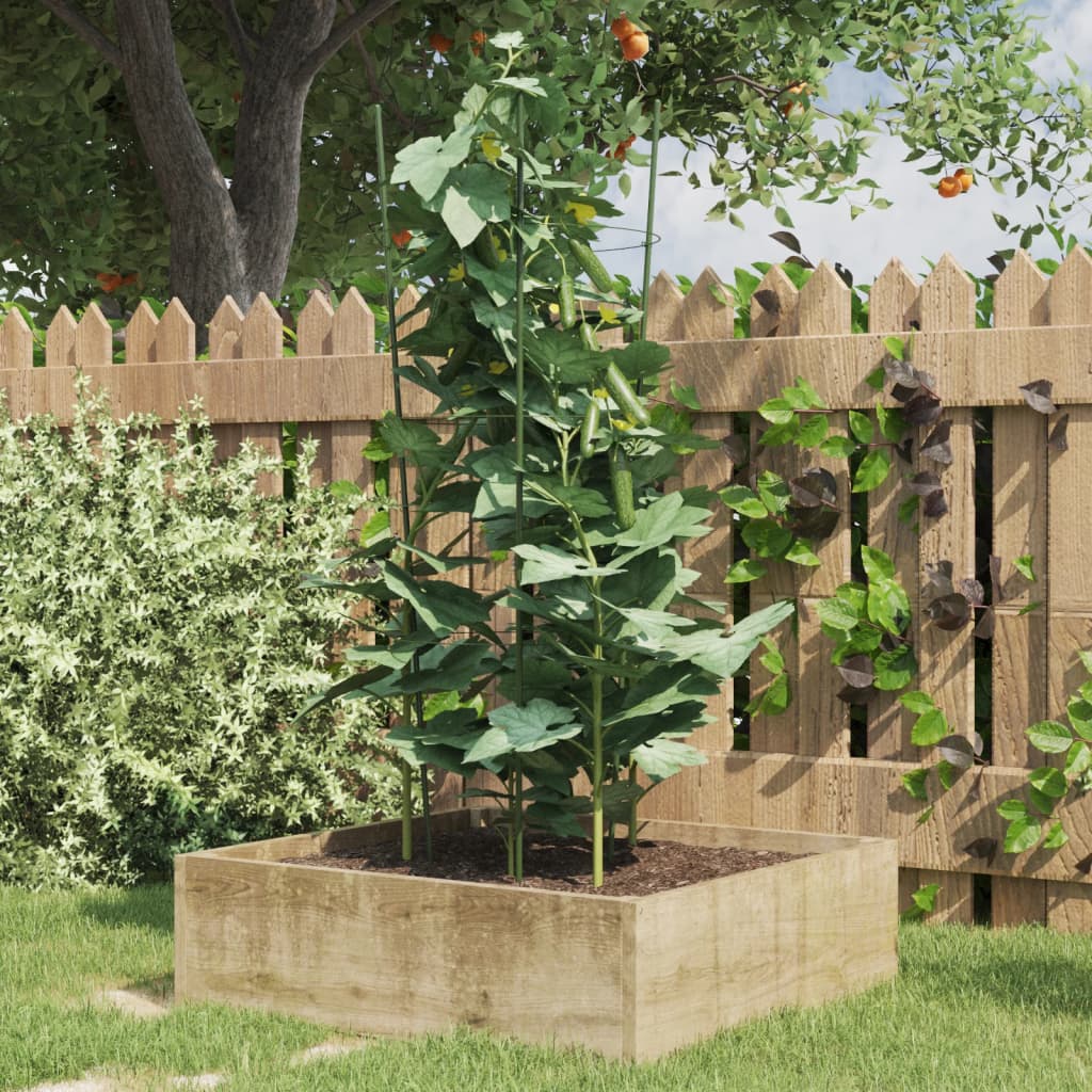 Plantensteunen Met 3 Ringen 4 Cm Staal Groen