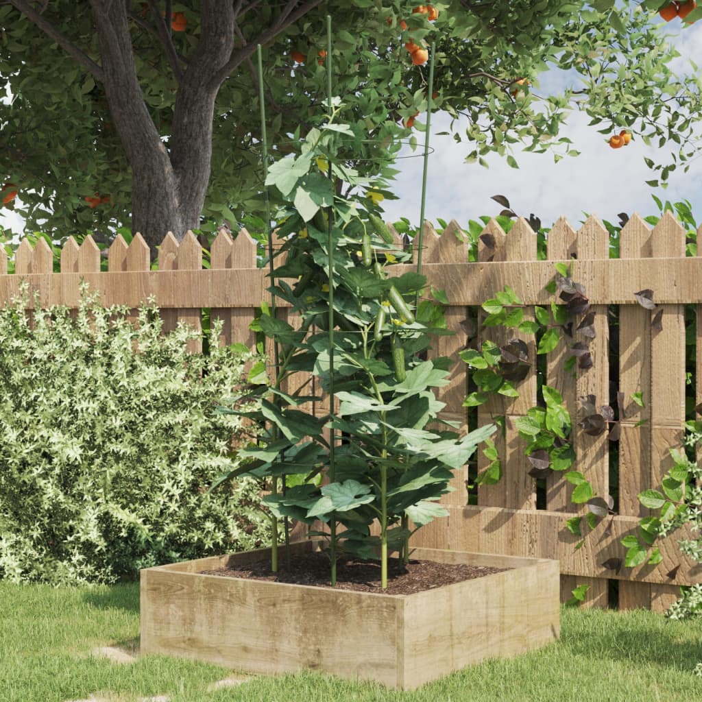 Plantensteunen Met 3 Ringen 4 Cm Staal Groen