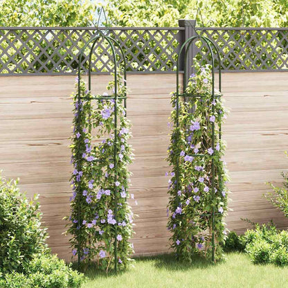 Tuinboogtorens 2 St